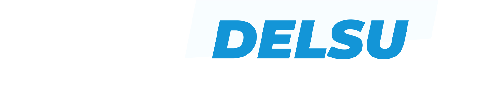 mydelsu logo